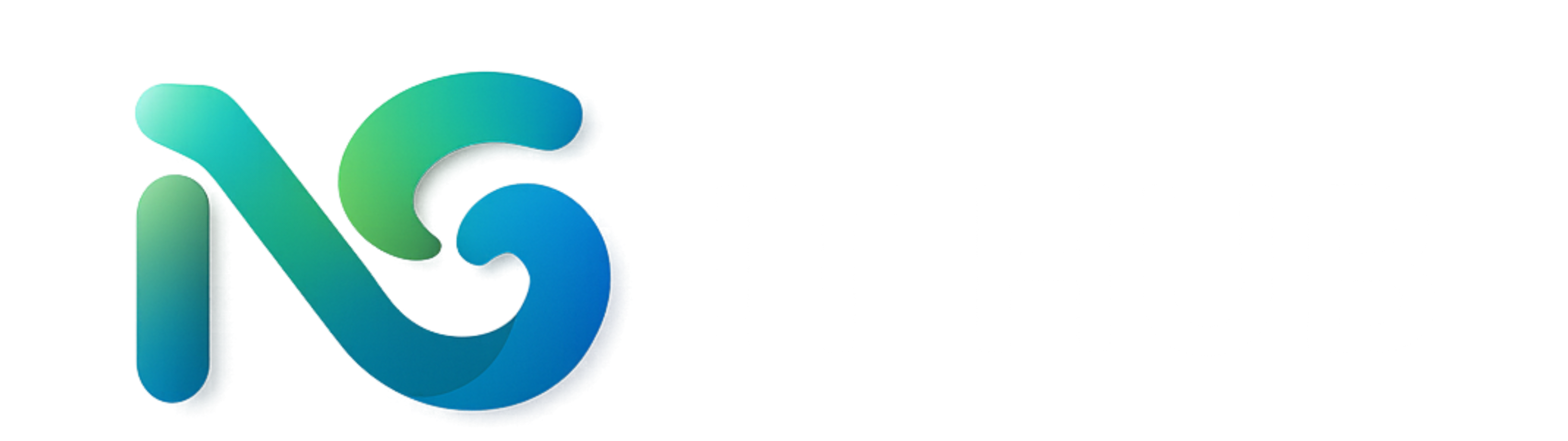 NG IT Hub Logo