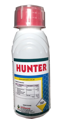 HUNTER