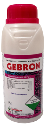 GEBRON PGR