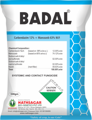 BADAL