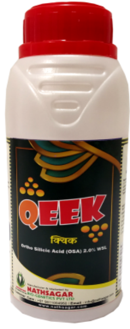 QEEK