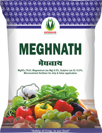 MEGHNATH