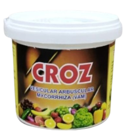CROZ