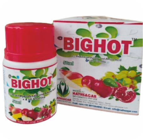 BIGHOT