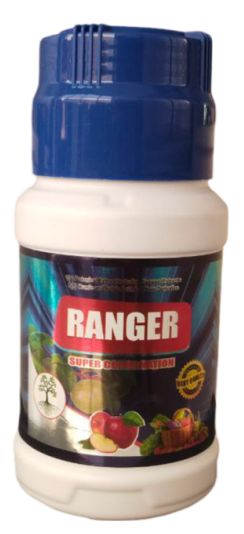 RANGER