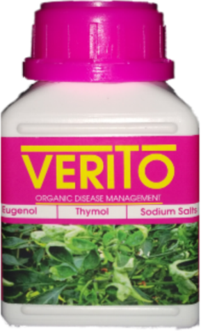 VERITO
