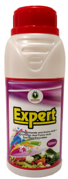 EXPERT